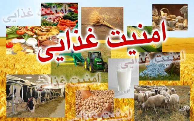 تدوین برنامه پنج ساله ارتقاء‌امنیت غذایی در کشور/کشت دیم به کمک می‌آید
